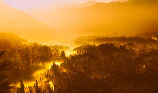 Soleil sur la brume